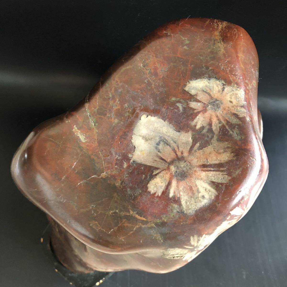 土佐菊花石 観賞石 鑑賞石 天然石 台付 12.2kg