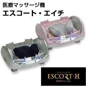 エスコート英知(日本製最新バージョン) 心もとな