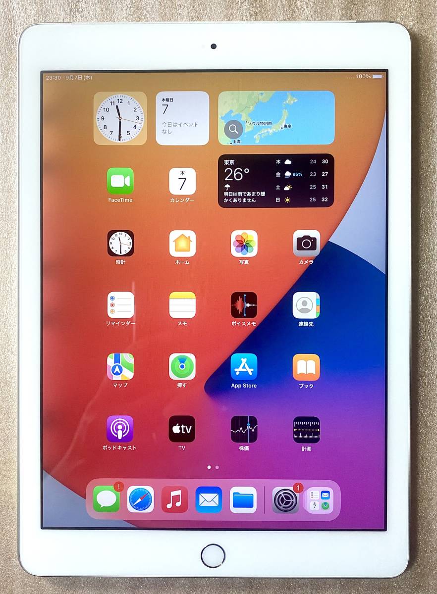 【ジャンク品 Apple iPad (第5世代) /シルバー 32GB(バッテリー95%) Wi-Fi+Cellular SIMフリー/A1823★001】