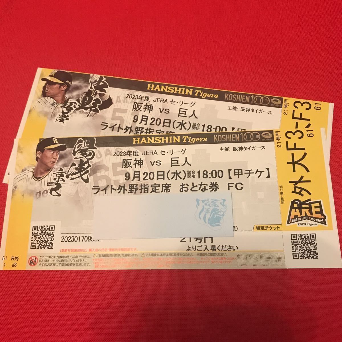 阪神タイガース 9月20日(水)阪神vs巨人戦ライト外野席ペアチケット