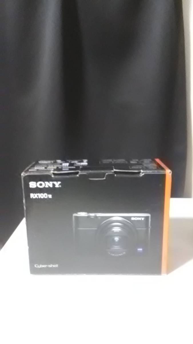 美品 RX100VI(DSC-RX100M6) 予備バッテリー チャージャー ケース付き