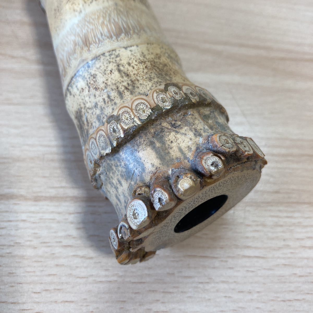 尺八 琴古流 竹治 在銘 1尺8寸管 銀巻 中継ぎ 緩みなし 音出し確認済み 尺八 琴古流 竹治 在銘 1尺8寸管 銀巻 中継ぎ 緩み