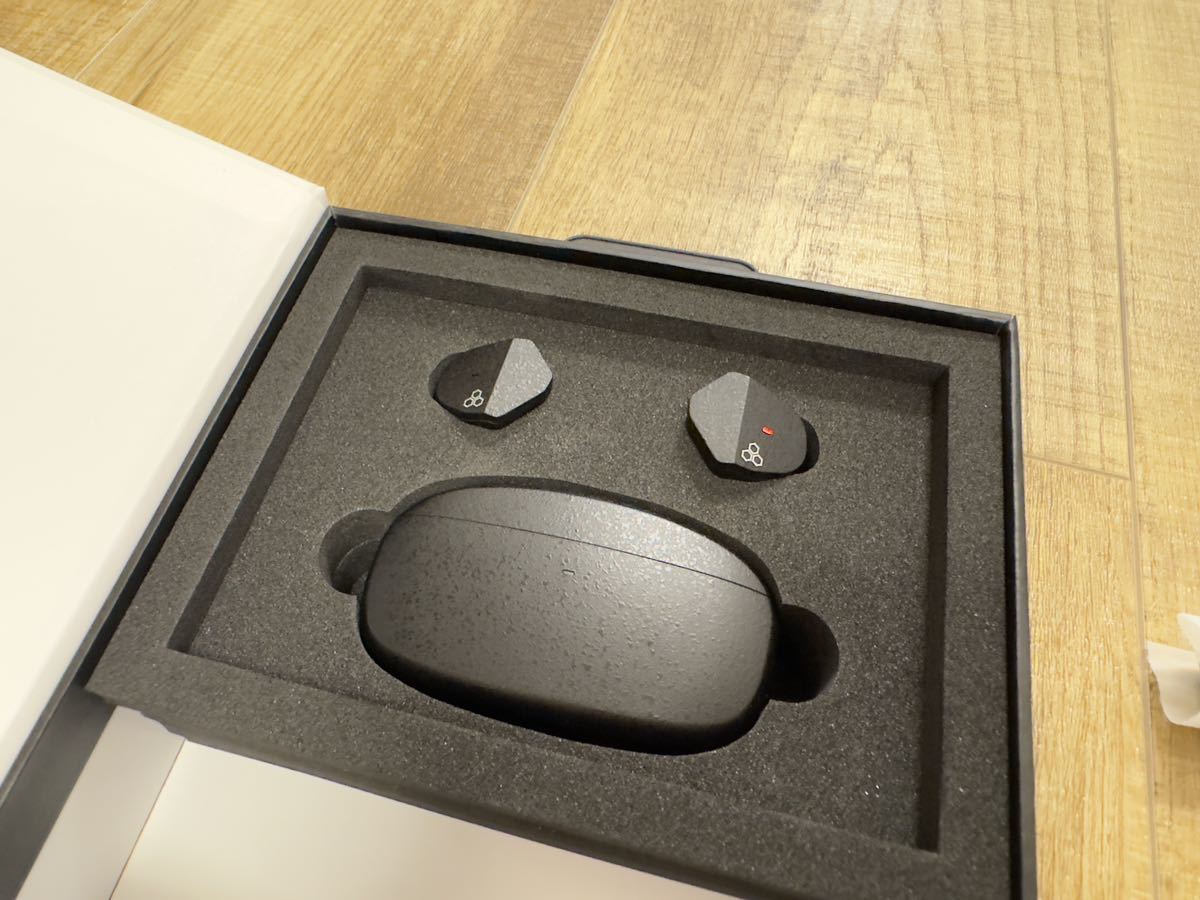 ZE3000 final Final Earbuds (ファイナル) Wireless : ZE3000｜final