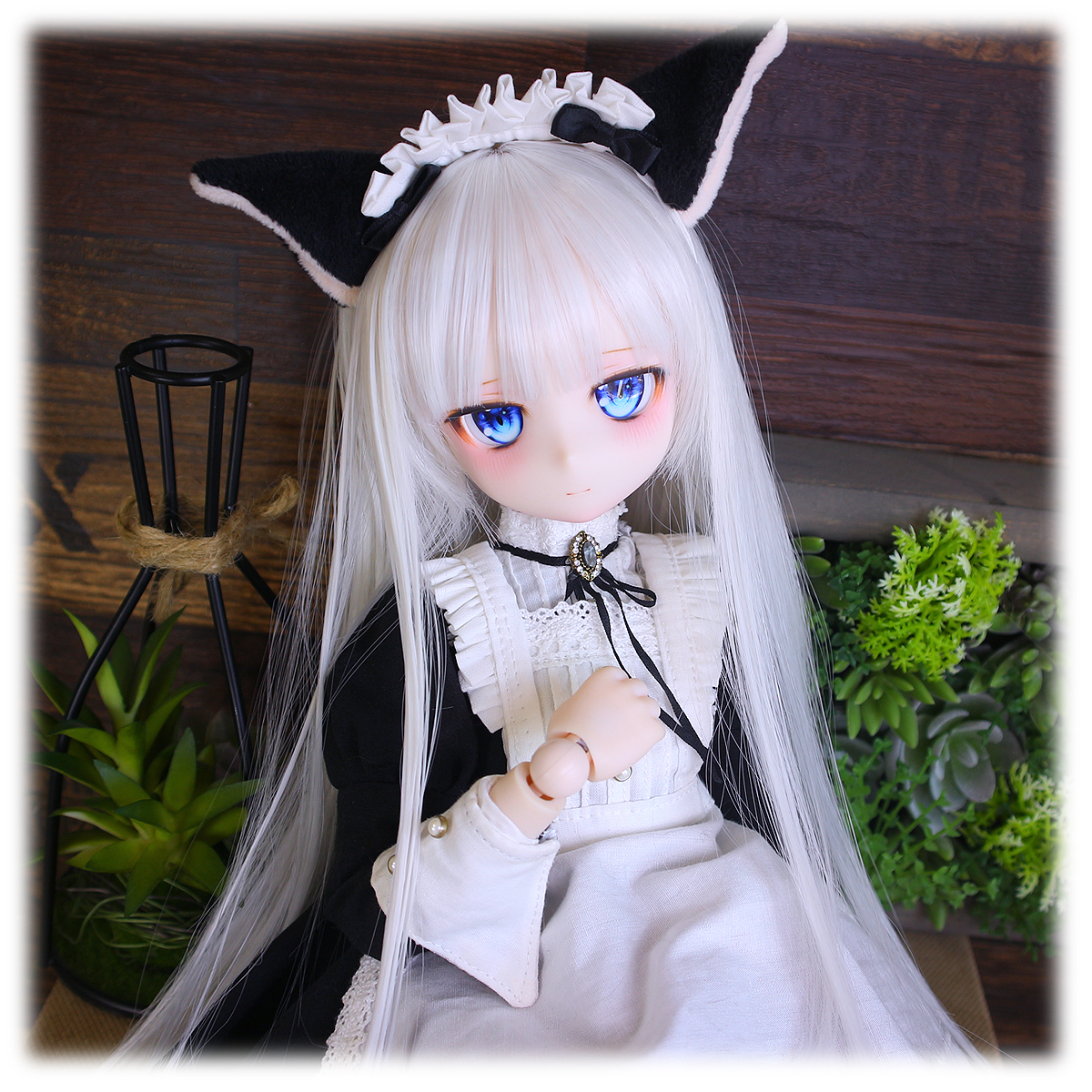 さにさにむーん】DDH-29 カスタムヘッド セミホワイト肌＋ディーラー様 