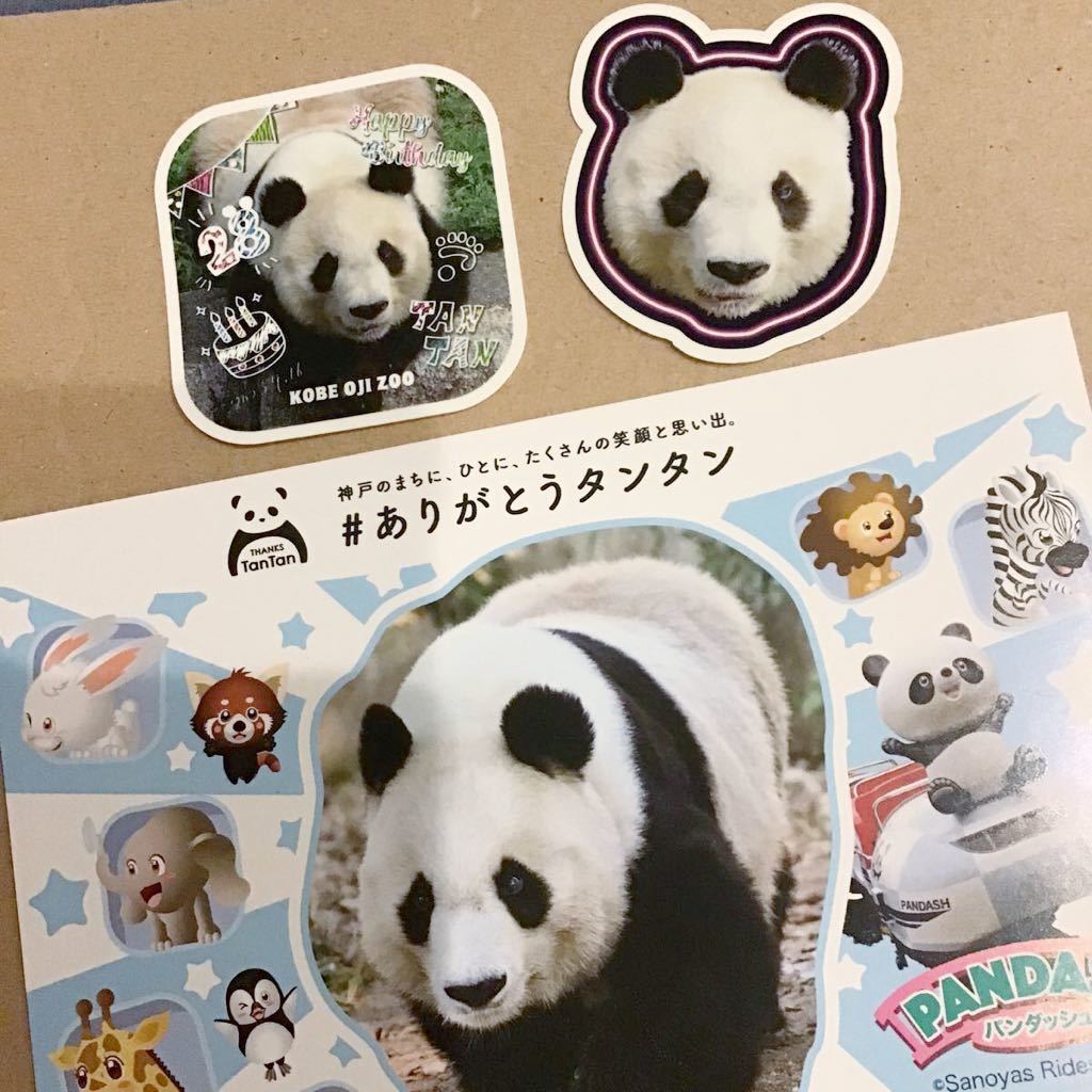 新品未開封】非売品 パンダポストカード アドベンチャーワールド
