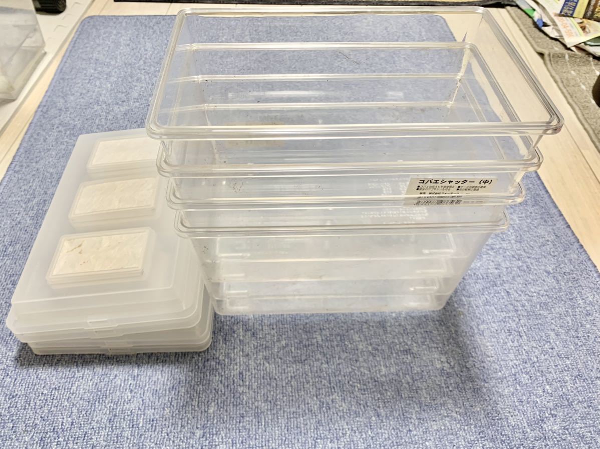 【最終出品】 クリアスライダー コバエシャッター 飼育ケース コンテナ のぼり木 止まり木 標本 オアシス 吸水スポンジ 昆虫関連最終出品！