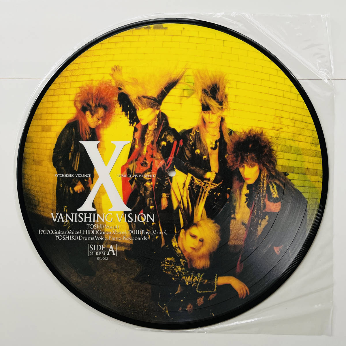 稀少ピクチャー盤 レコード〔 X Japan - Vanishing Vision 〕エックス 