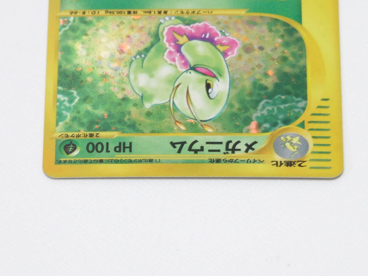メガニウム 1st 102⁄128 ポケモンカードe カードe eカード ポケモン