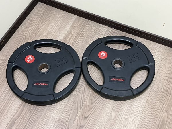 4110 Life Fitness ライフフィットネス オリンピックプレート 25kg