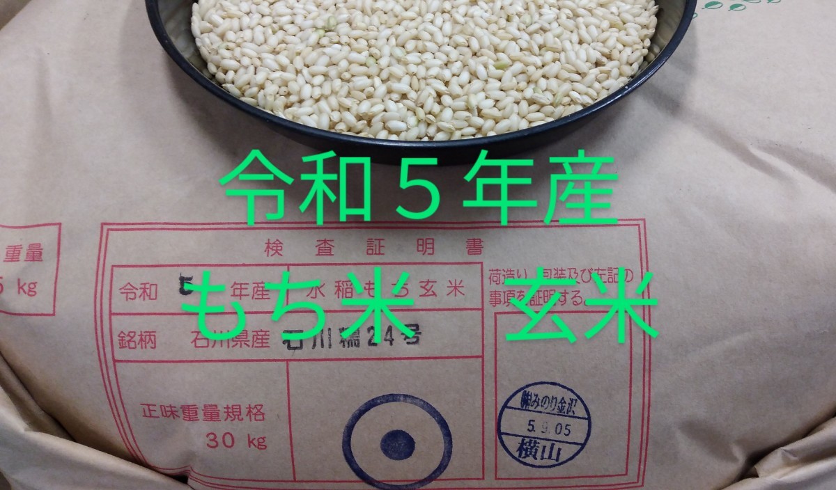 新米 餅米 玄米 30キロ もち米 玄米30kg」の人気商品一覧・価格比較 -