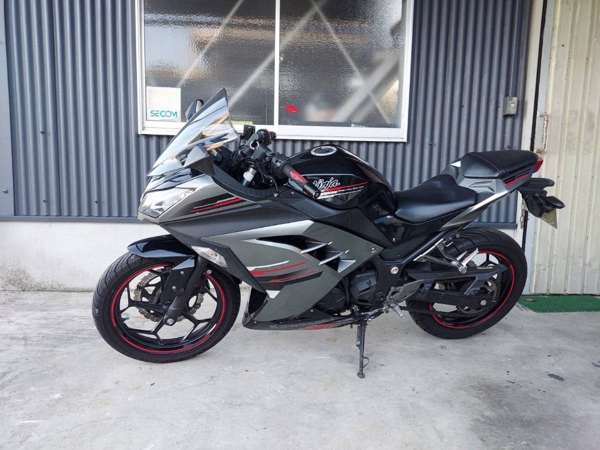 カワサキ ニンジャ EX250L スペシャルエディション ABS 自賠責令和7年