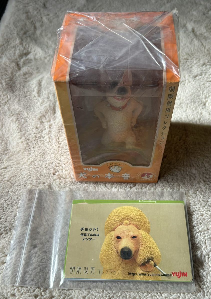 朝隈俊男 犬の本音 ブルテリア ステッカー付 朝隈俊男 犬の本音 ブルテリア ステッカー付 朝隈俊男コレクション 犬