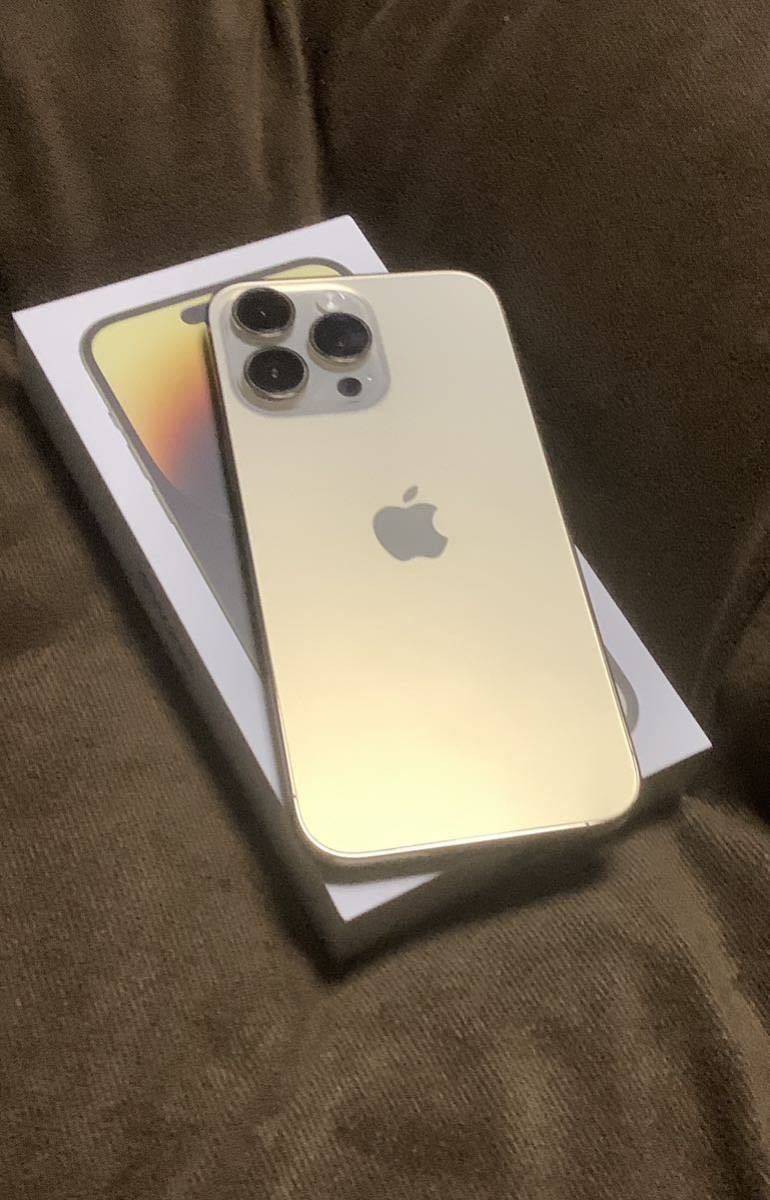 iPhone 0 256GB SIMロックなし箱あり SIM Restored 【最終価格