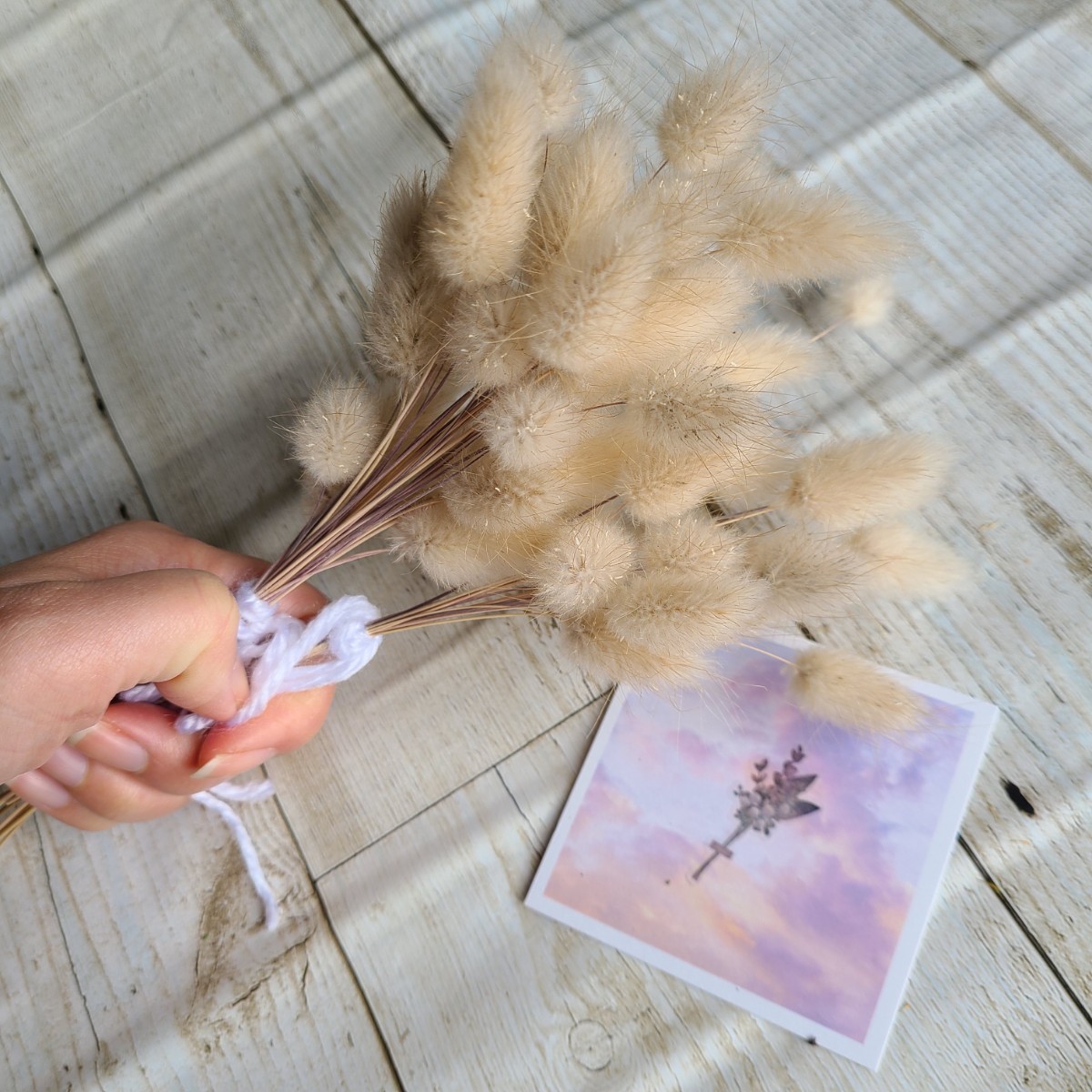 ドライフラワー 素材 詰め合わせ バニーテール 千日紅 ケイトウ 帝王貝細工 クリソセファラム 信州産 花材 リース スワッグ 手作り 飾り_2