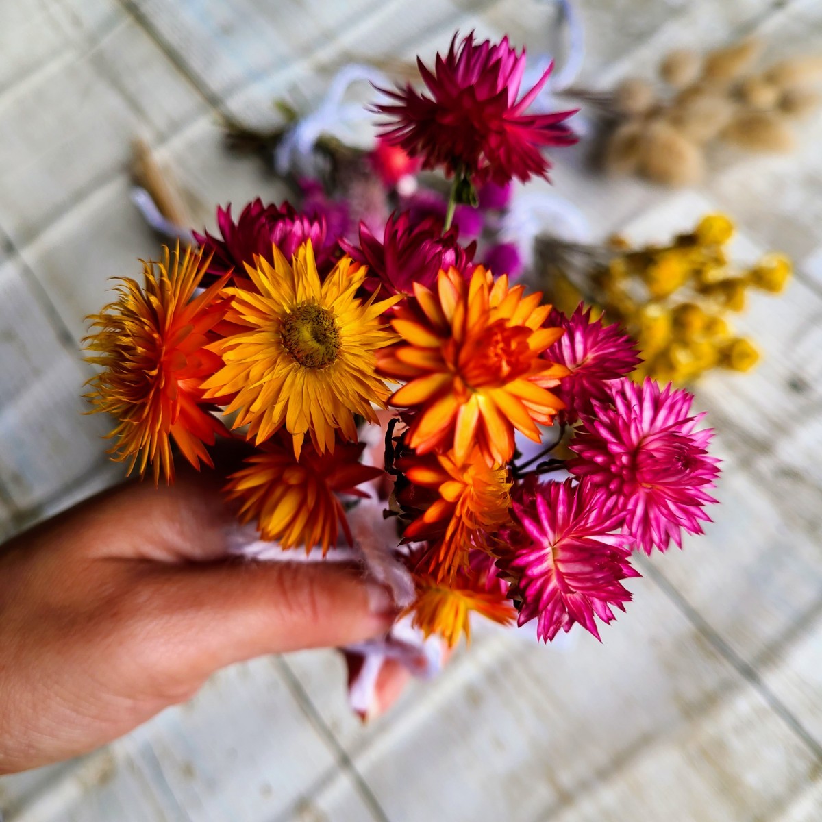 ドライフラワー 素材 詰め合わせ バニーテール 千日紅 ケイトウ 帝王貝細工 クリソセファラム 信州産 花材 リース スワッグ 手作り 飾り_3