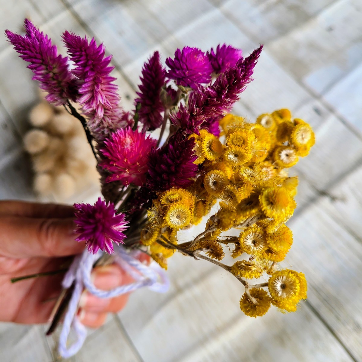 ドライフラワー 素材 詰め合わせ バニーテール 千日紅 ケイトウ 帝王貝細工 クリソセファラム 信州産 花材 リース スワッグ 手作り 飾り_5