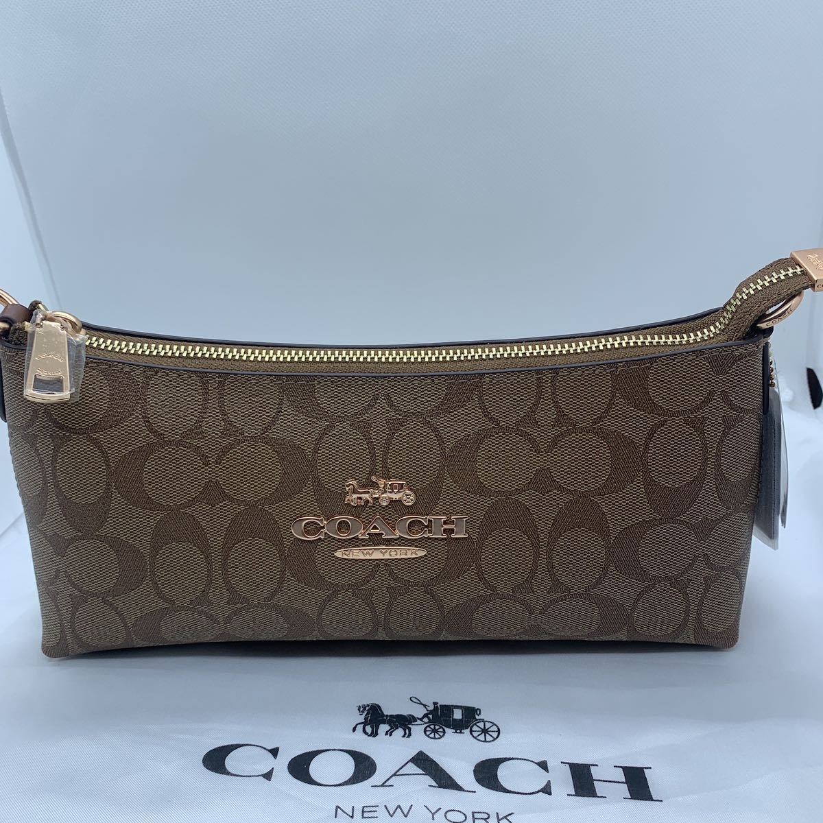 COACH 2way ファスナー式 シャーロット ミニバッグ