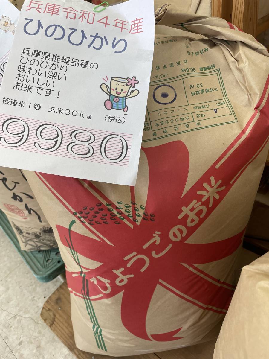 食品 令和7年度 朝日米 玄米 25㎏ （梱包込み25kgです）
