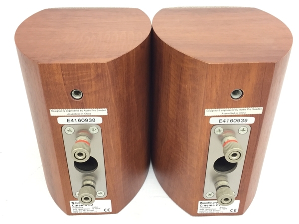 audiopro cinema c2（オーディオプロ） 2本セット audiopro 2本セット