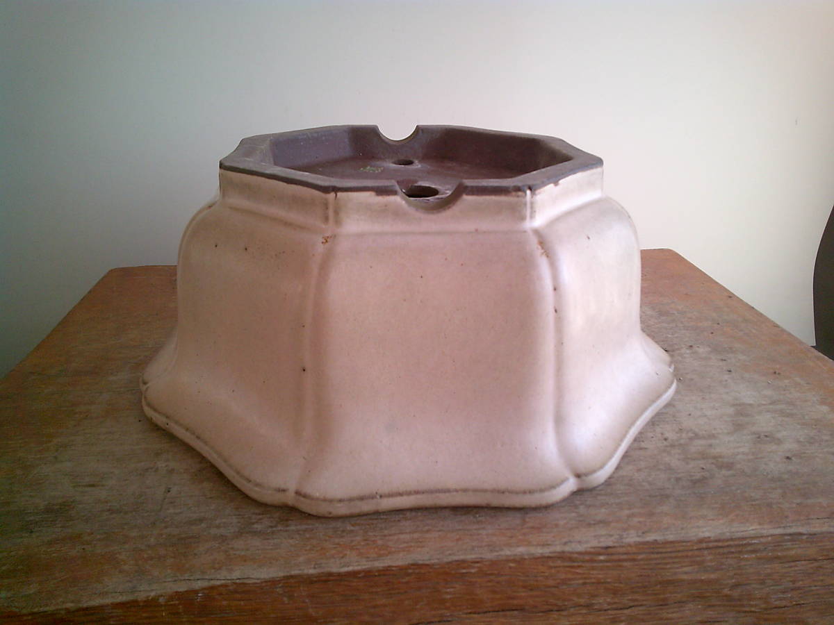 Yahoo!オークション -「鉢 松泉」(盆栽) の落札相場・落札価格