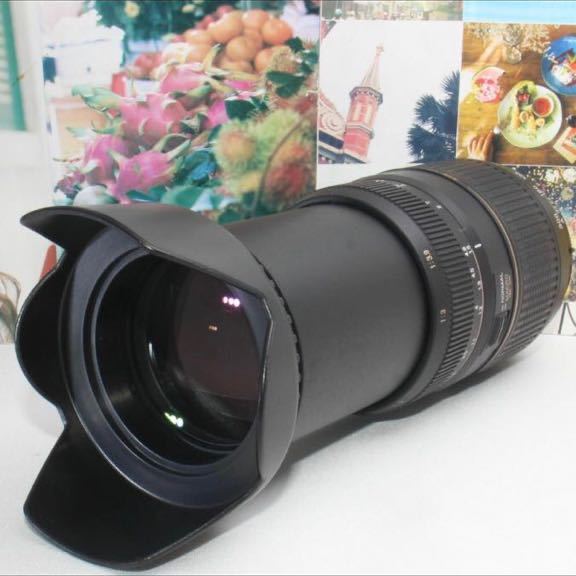 ど迫力の超望遠PENTAX用タムロン 望遠レンズ 70-300 ㎜ Di TAMRON F