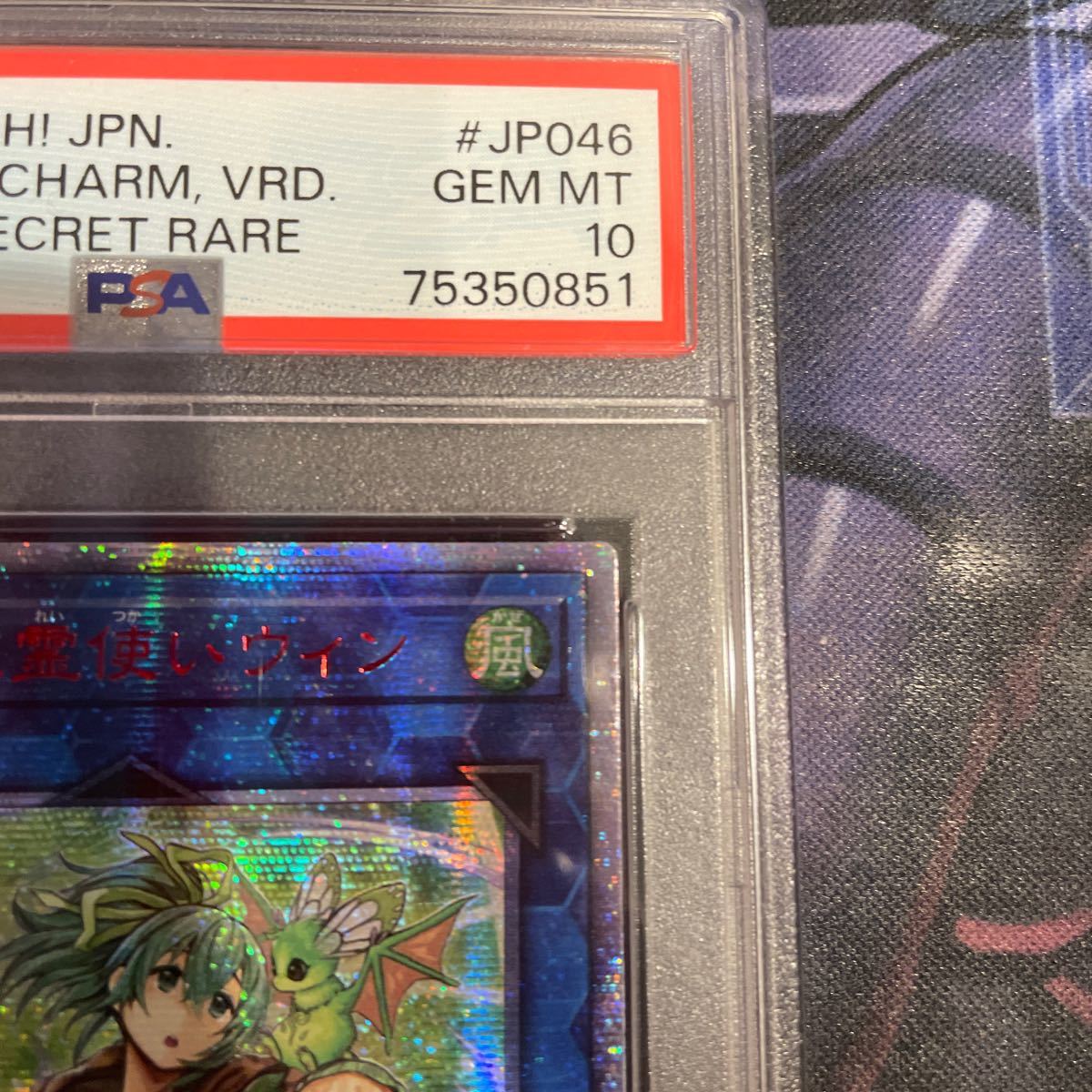 遊戯王 蒼翠の風霊使いウィン PSA10 20th PSA10蒼翠の風霊使い 20th