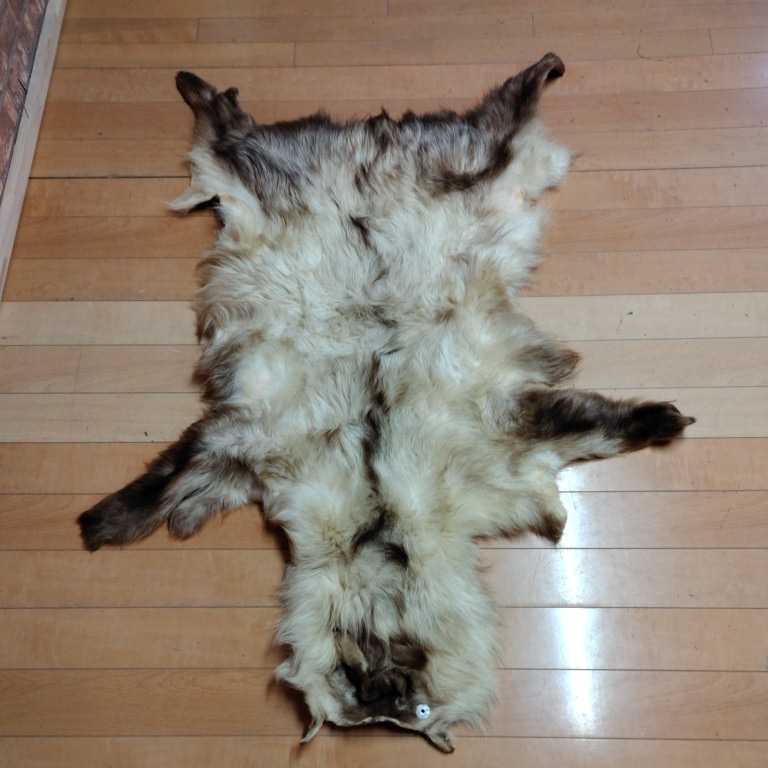 天然毛皮 カモシカ リアルファー 毛皮 Yahoo!オークション カモシカ 本毛皮 | フォックス
