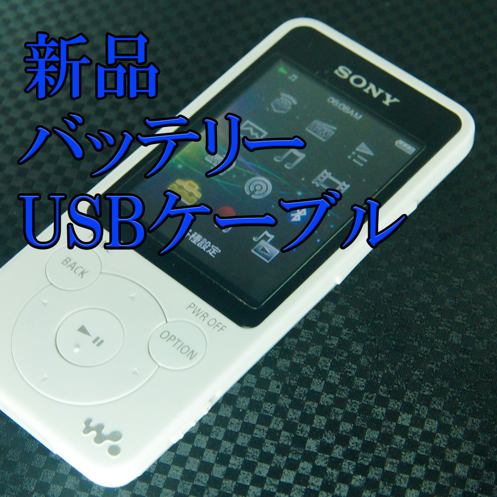 16GB SONY ウォークマン NW-S15 : Sシリーズ 美品 バッテリ良好 NW
