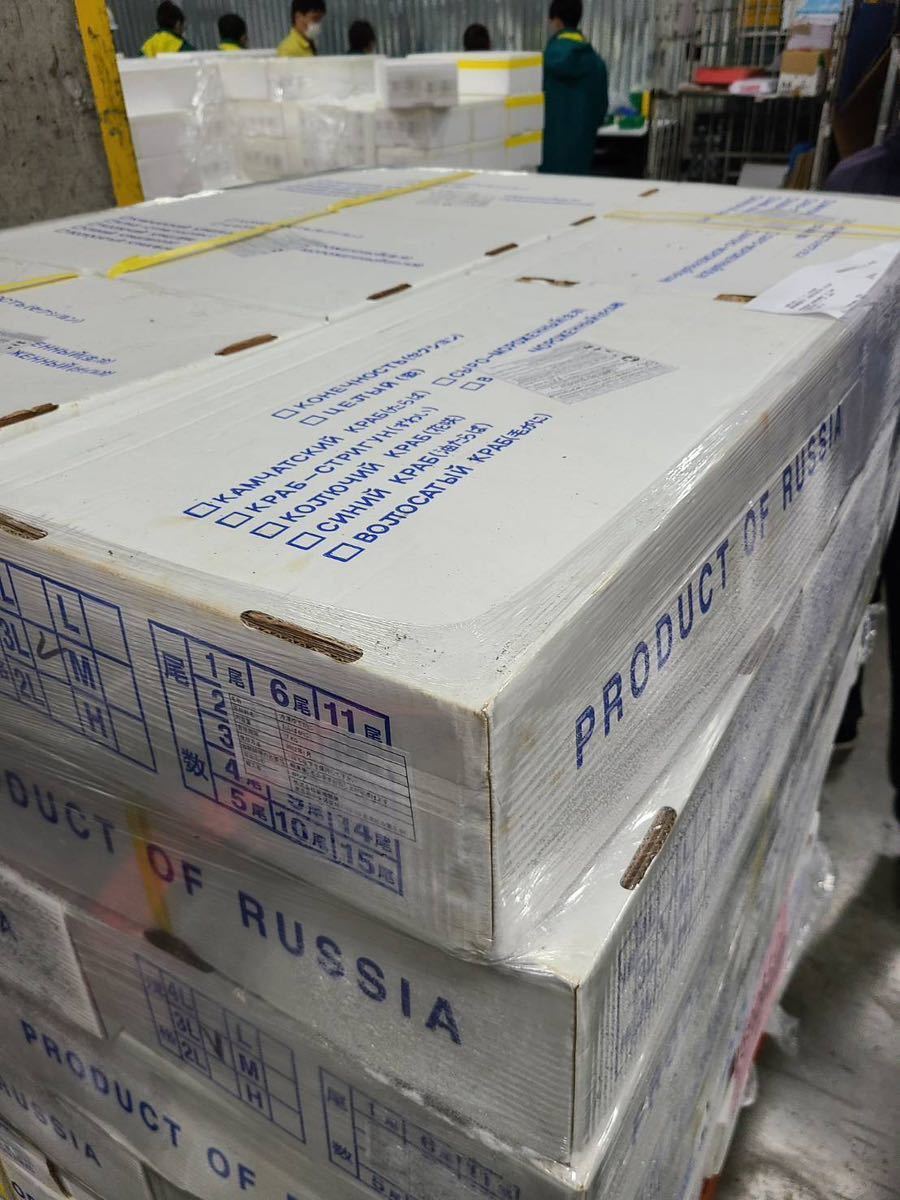 特大　新物ズワイガニボイル 業務用　ロシア産　4L10kg 28肩程度　冷凍　ずわいがに　蟹_2