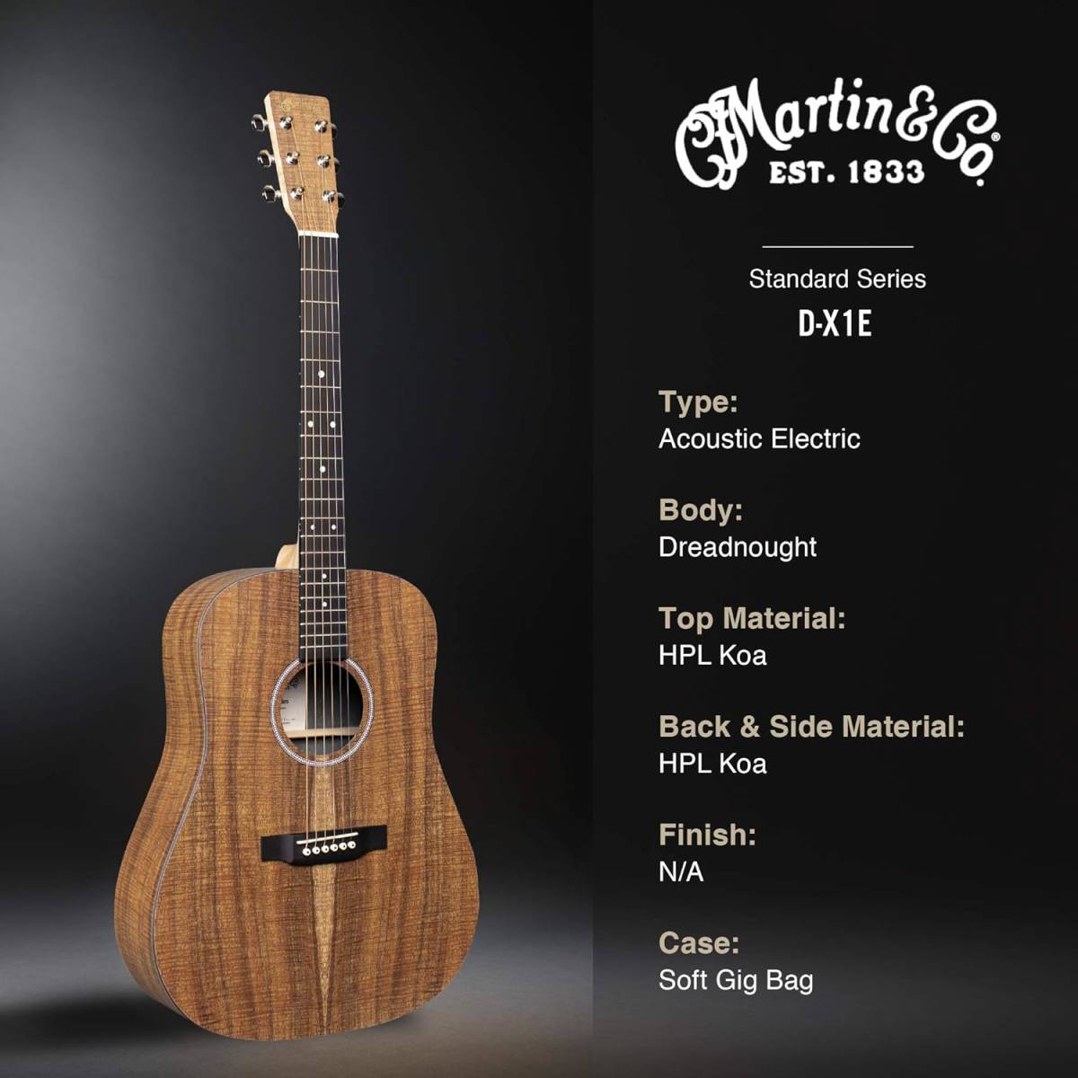 Martin エレアコ ギター D-X1E-01 【公式通販】