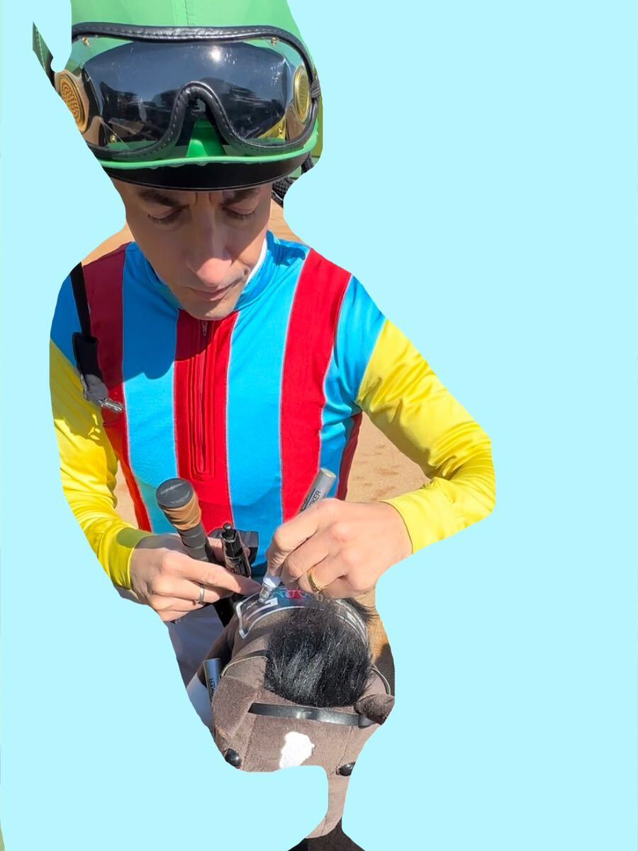 競馬 イクイノックス クリストフ・ルメール 騎手 直筆サイン入り