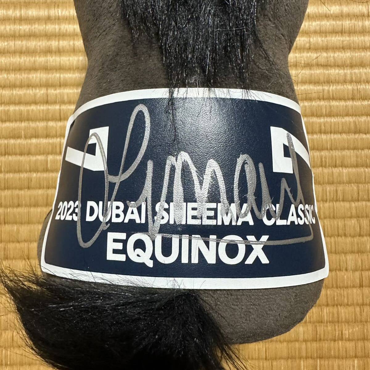 競馬 イクイノックス クリストフ・ルメール 騎手 直筆サイン入り