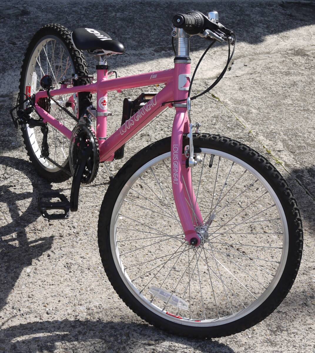 極 LOUIS GARNEAU ルイガノ LGS-J22 22型 270サイズ アルミフレーム 