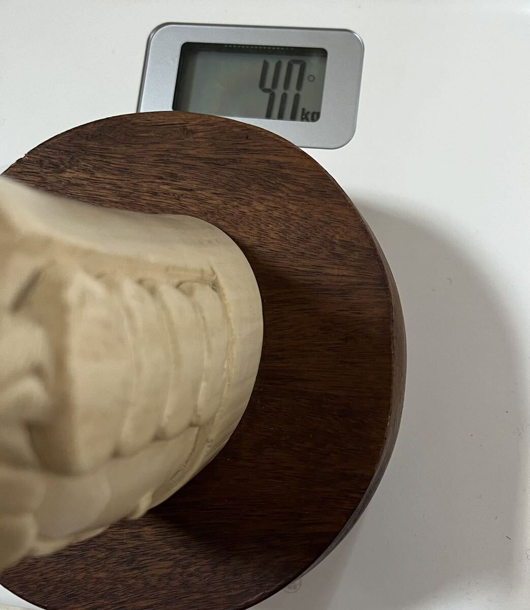 象牙風 一本牙 置物 白材芯料 天然素材 長さ 約65cm 重量4.0kg 彫刻