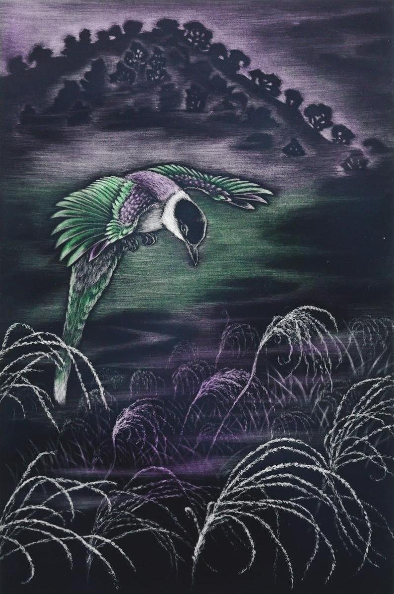 藤本　能道　銅版画　こぶし尾長 真作】【WISH】藤本能道「すすき尾長」銅版画 5号 直筆サイン 〇人間