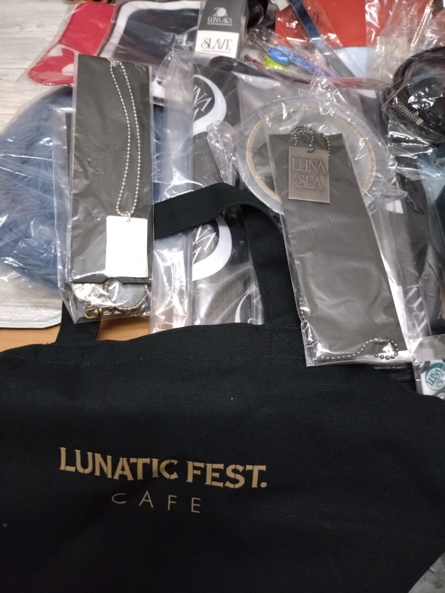 LUNA SEA 大量 グッズセット 缶バッジ ストラップ キーホルダー パンフ