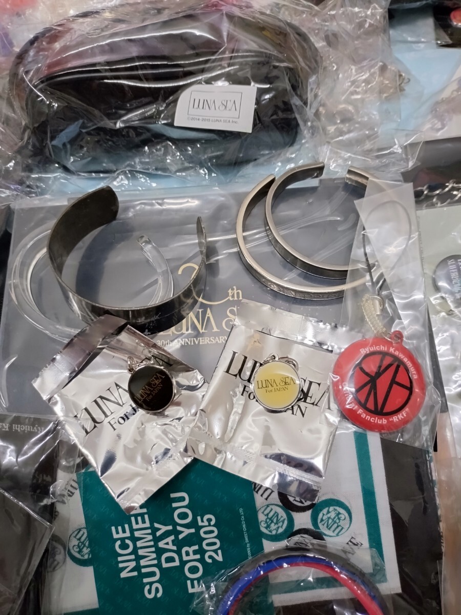 LUNA SEA 大量 グッズセット 缶バッジ ストラップ キーホルダー パンフ