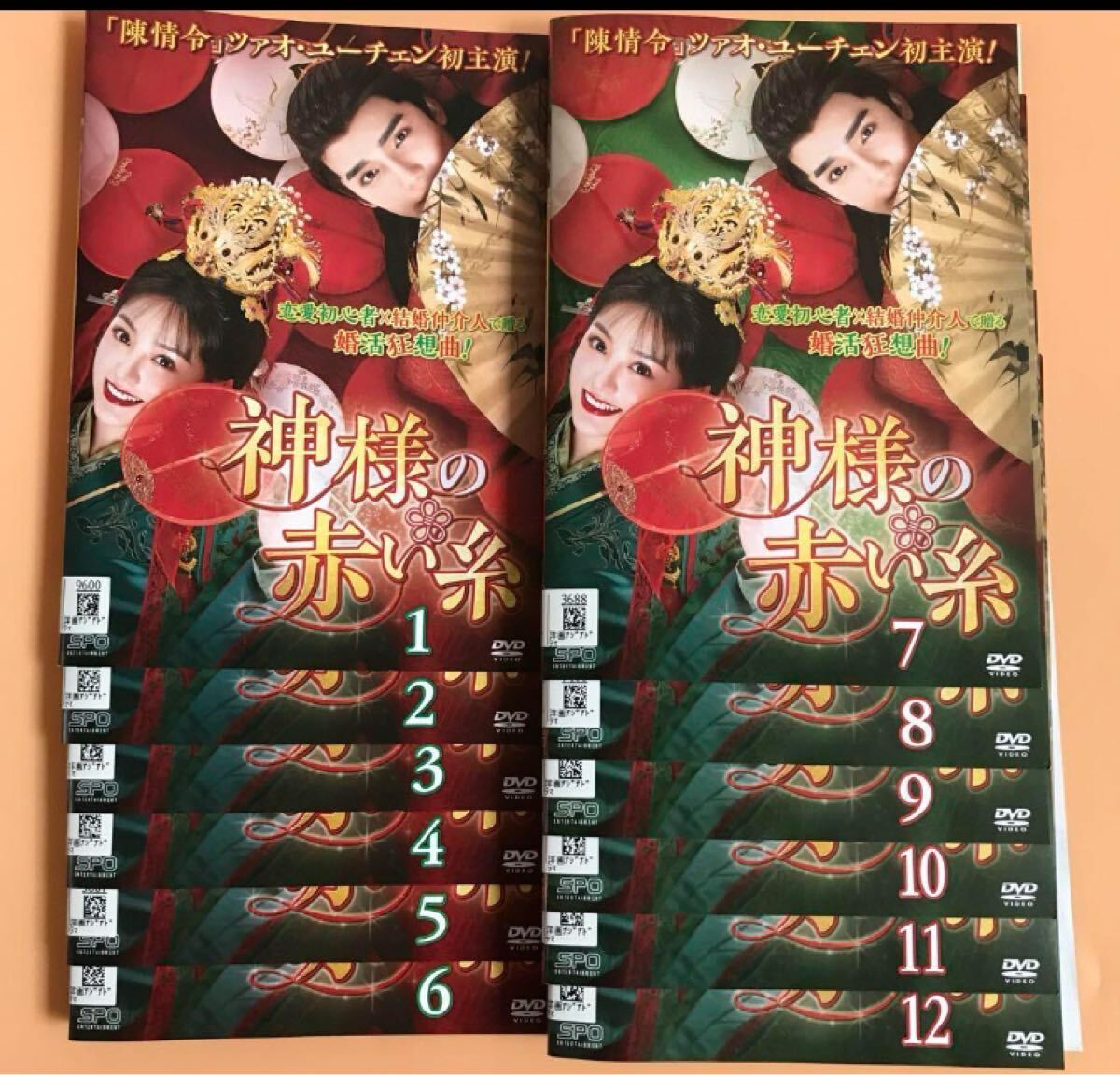DVD 結婚できない男 DVD-BOX 【公式通販】