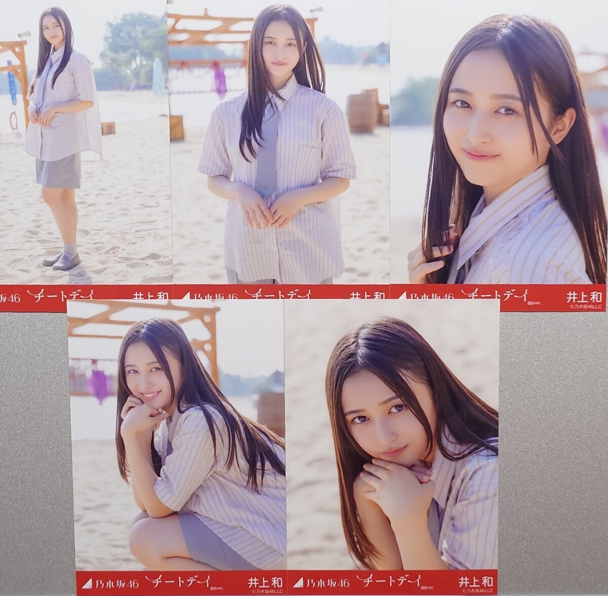 井上 和『チートデイ 選抜ver.』乃木坂46 生写真5枚セット(乃木坂46