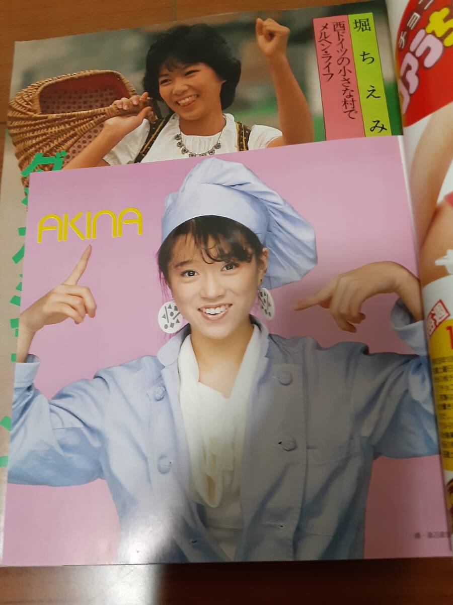 明星1983年11月号/堀ちえみ/中森明菜/柏原芳恵/小泉今日子/河合奈保子