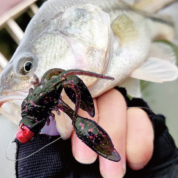 クローワーム ザリガニワーム 10個セット ソフトベイト ルアー シュリンプ系 エビ系 タコ ネコリグ テキサスリグ スモラバ 青物 根魚_3