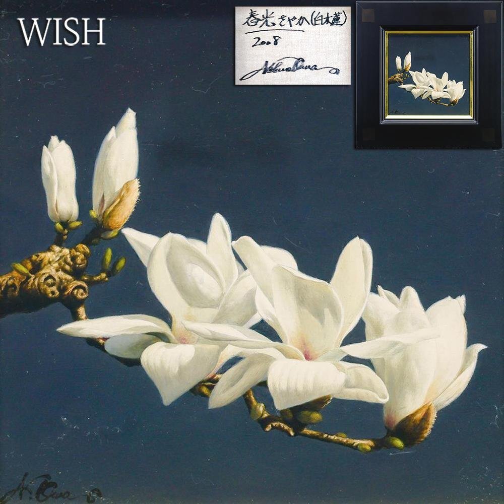 【美品】「富貴やんわり」大輪信雄 　直筆 真作】【WISH】大輪信雄「春光さやか(白木連)」油彩 SM 2008年作