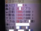 ■コロプラ■　コロニーな生活PLUSの通貨プラ5000プラ分_1