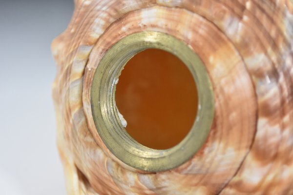 シェルカメオ 貝殻ライト 卓上照明 アンティーク カメオランプ シェルランプ 照明 貝彫刻 デスクライト 天使 花柄 レトロ Aa-307G_10