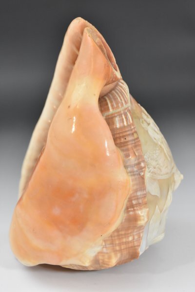 シェルカメオ 貝殻ライト 卓上照明 アンティーク カメオランプ シェルランプ 照明 貝彫刻 デスクライト 天使 花柄 レトロ Aa-307G_6