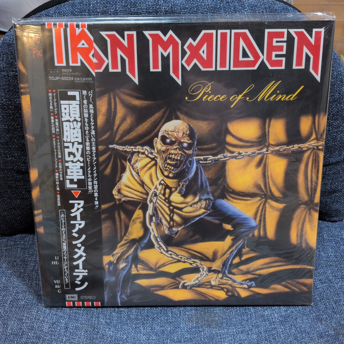 未開封　アイアン メイデン 頭脳改革 LP　ピクチャー・ディスク