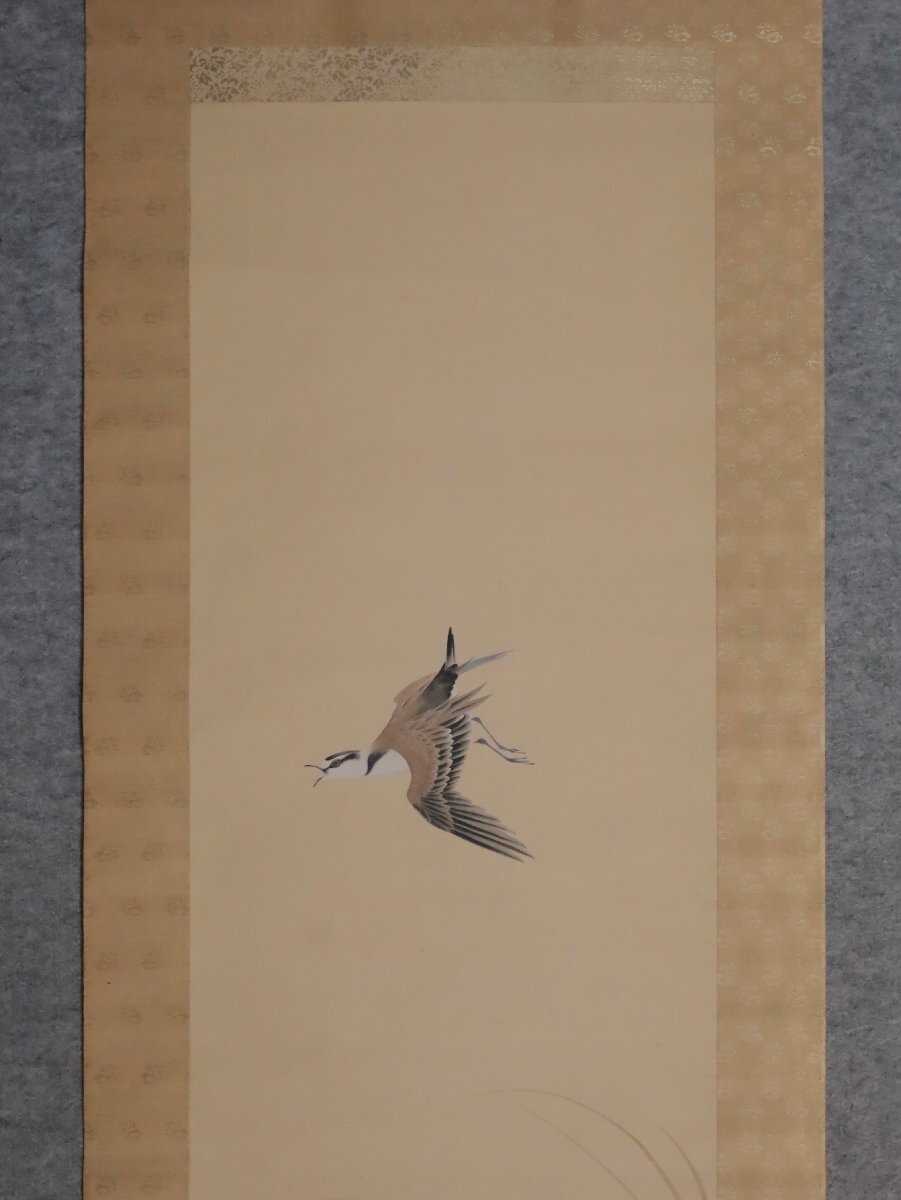 模写】吉】12079 井上恒也 花鳥図 まくり 共箱 寺崎広業・川合玉堂師事
