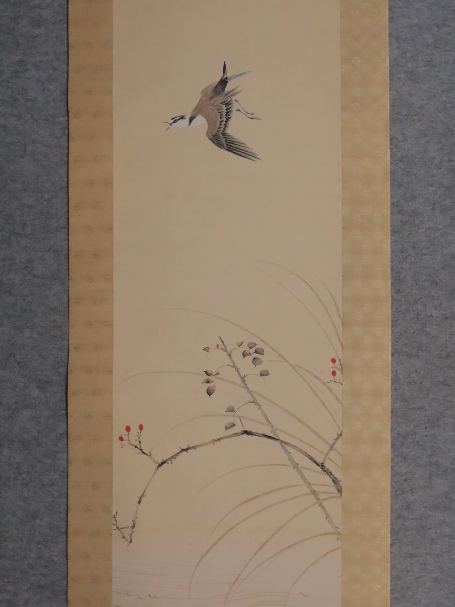 模写】吉】12079 井上恒也 花鳥図 まくり 共箱 寺崎広業・川合玉堂師事