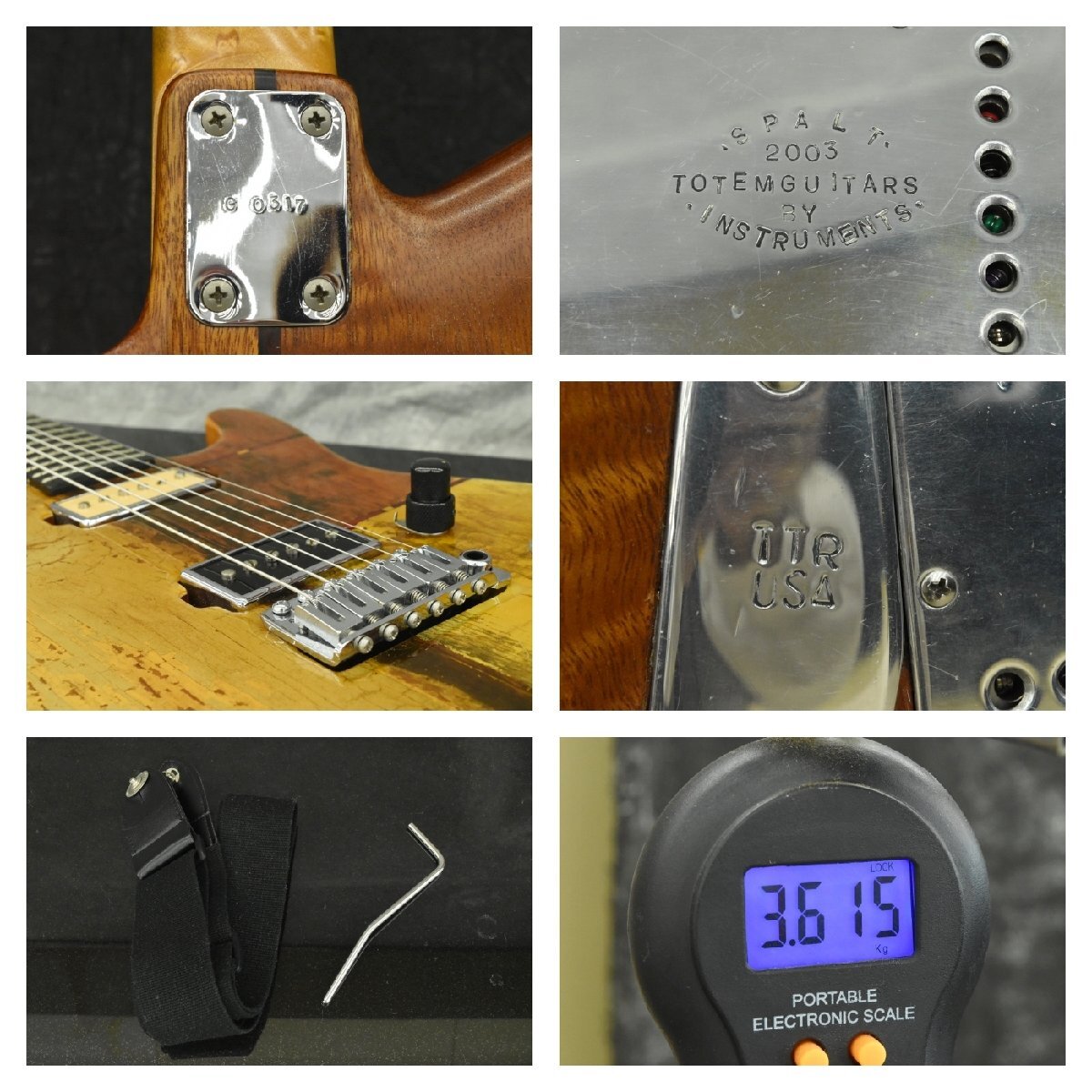 【C】Spalt Instruments/Totem Guitars FIELDS OF PLEASURE エレキギター トーテムギター 223008_8