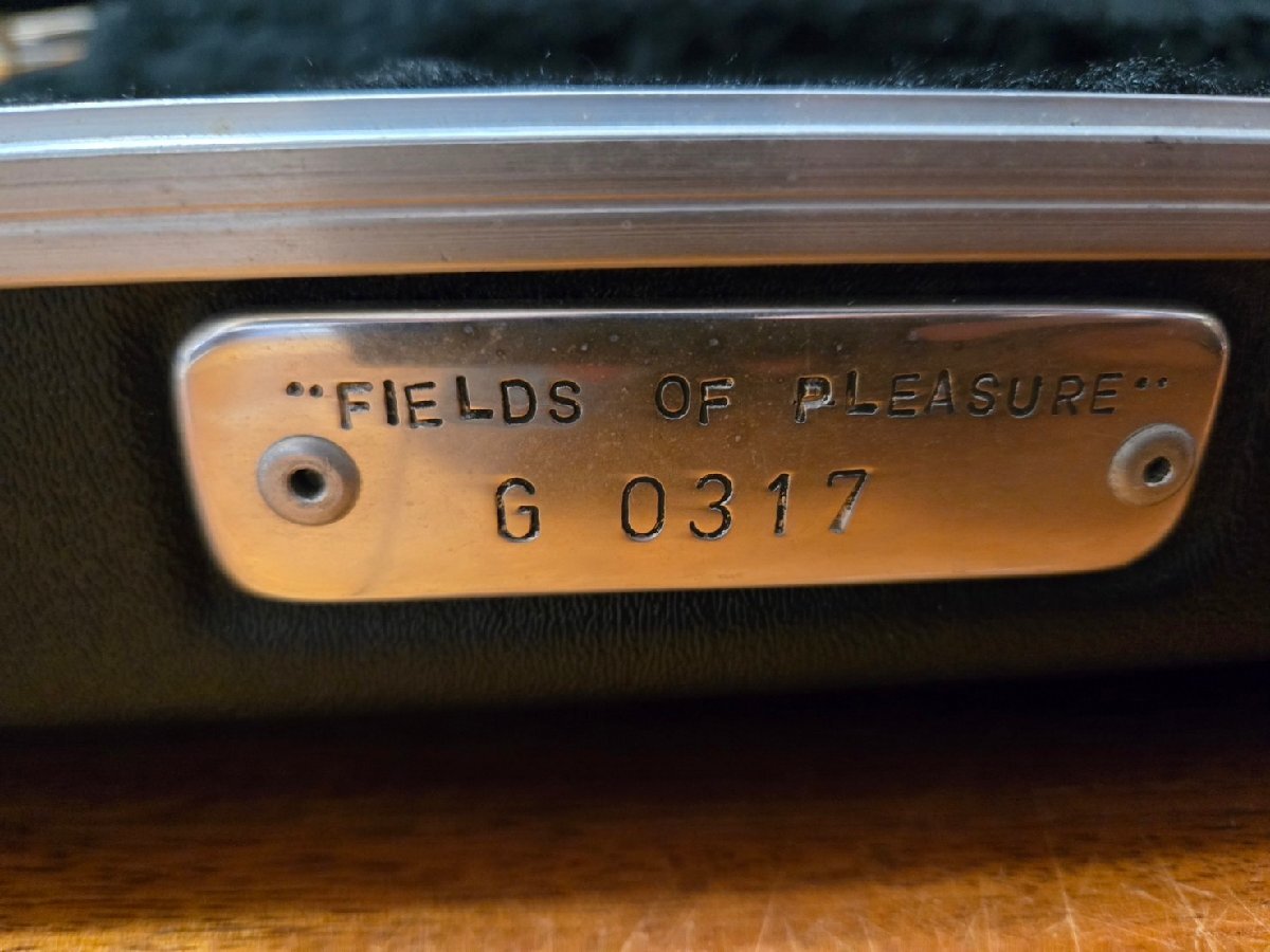 【C】Spalt Instruments/Totem Guitars FIELDS OF PLEASURE エレキギター トーテムギター 223008_9